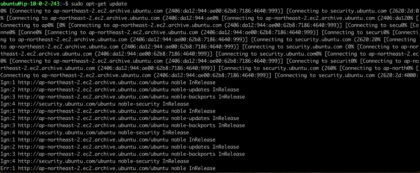 Before connecting the NAT Instance — apt-get update fails