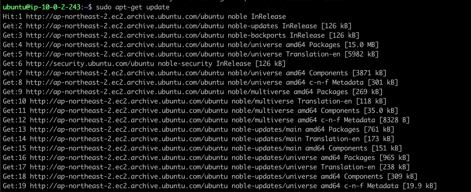After connecting the NAT Instance — apt-get update works
