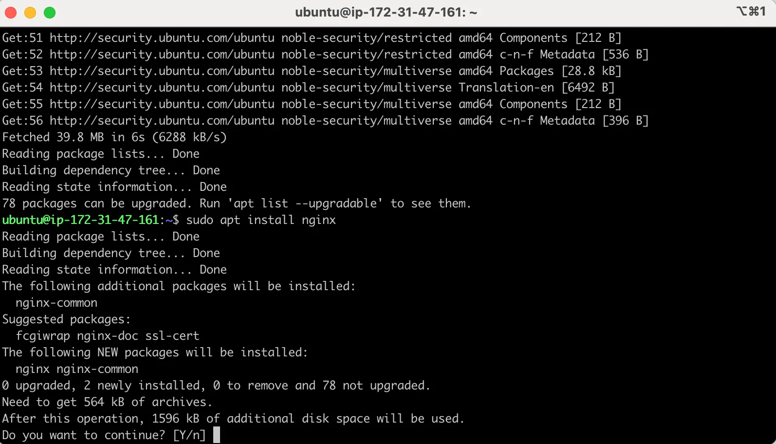 apt 로 nginx 설치하는 터미널 화면