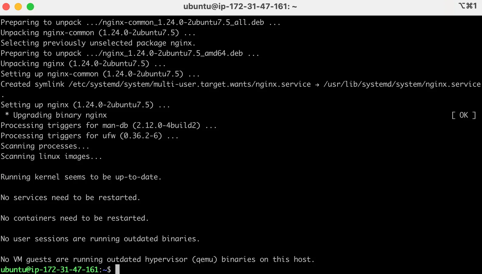 우분투에서 nginx 설치 완료 화면